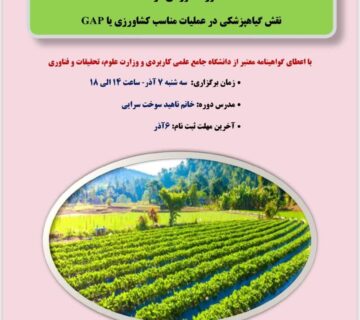 دوره کوتاه مدت/ دانشگاه پیگیر